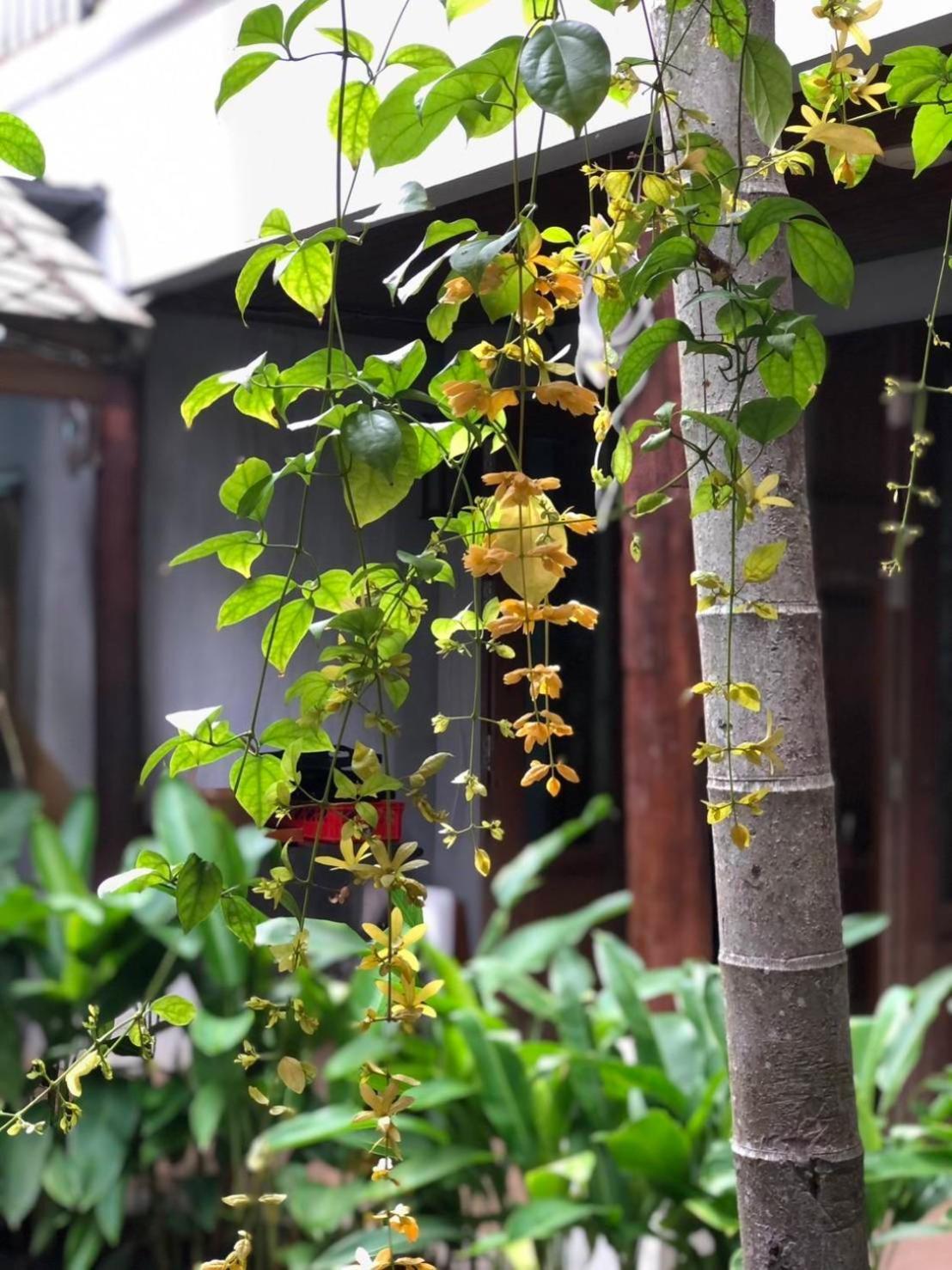 Khammon Lanna Resort Chiang Mai Exterior foto